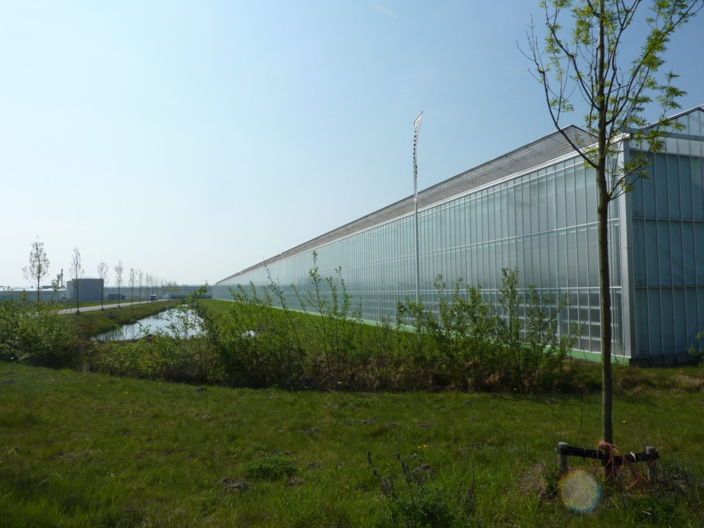 Van agrarisch gebruik naar glastuinbouw, wonen en werken op De Glasparel.